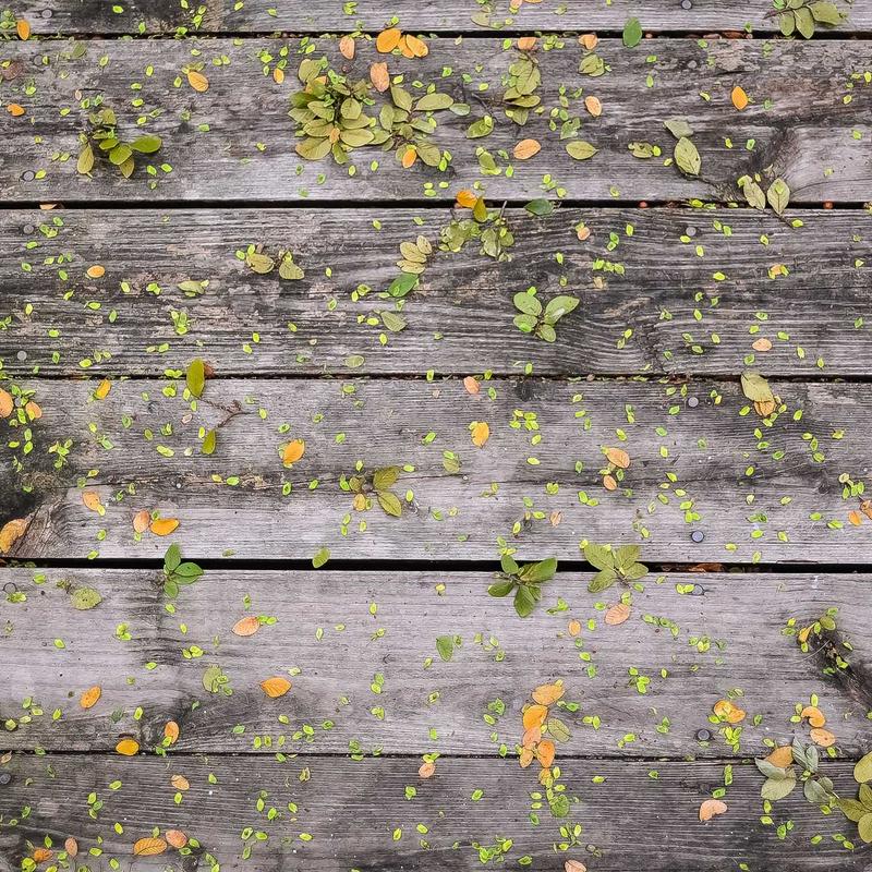 Product 14 - Image 3