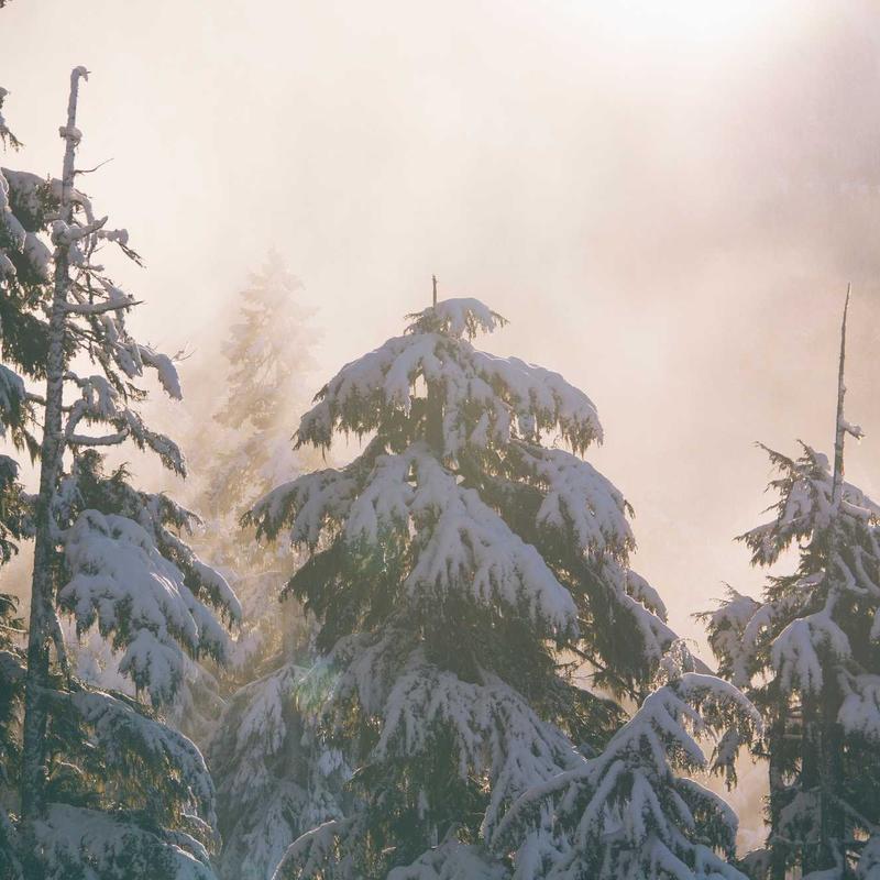 Product 15 - Image 1