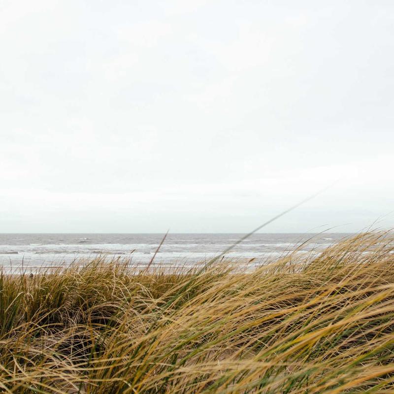 Product 17 - Image 3