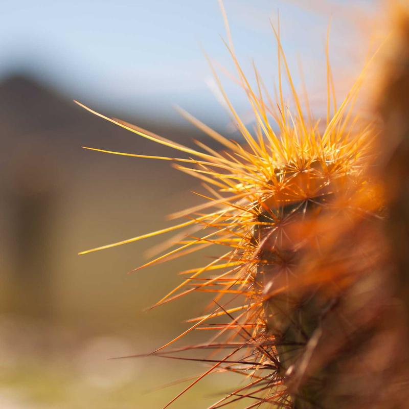 Product 19 - Image 2