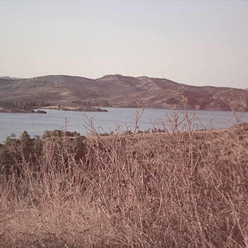 Product 19 - Image 4