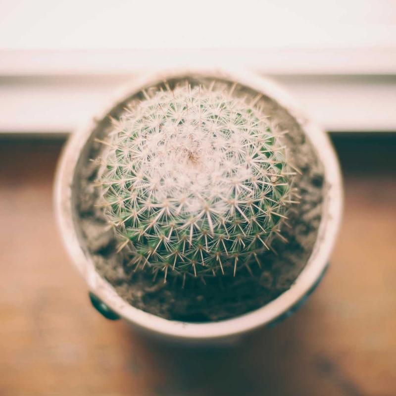 Product 21 - Image 2