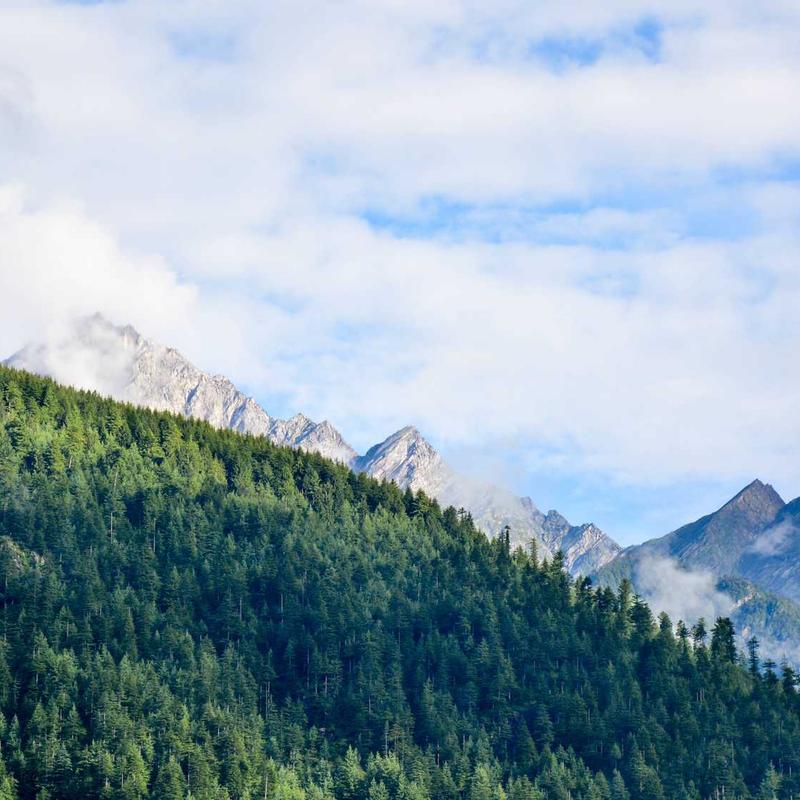 Product 22 - Image 3