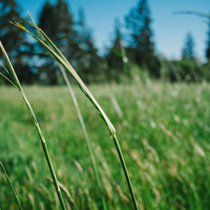 Product 32 - Image 1