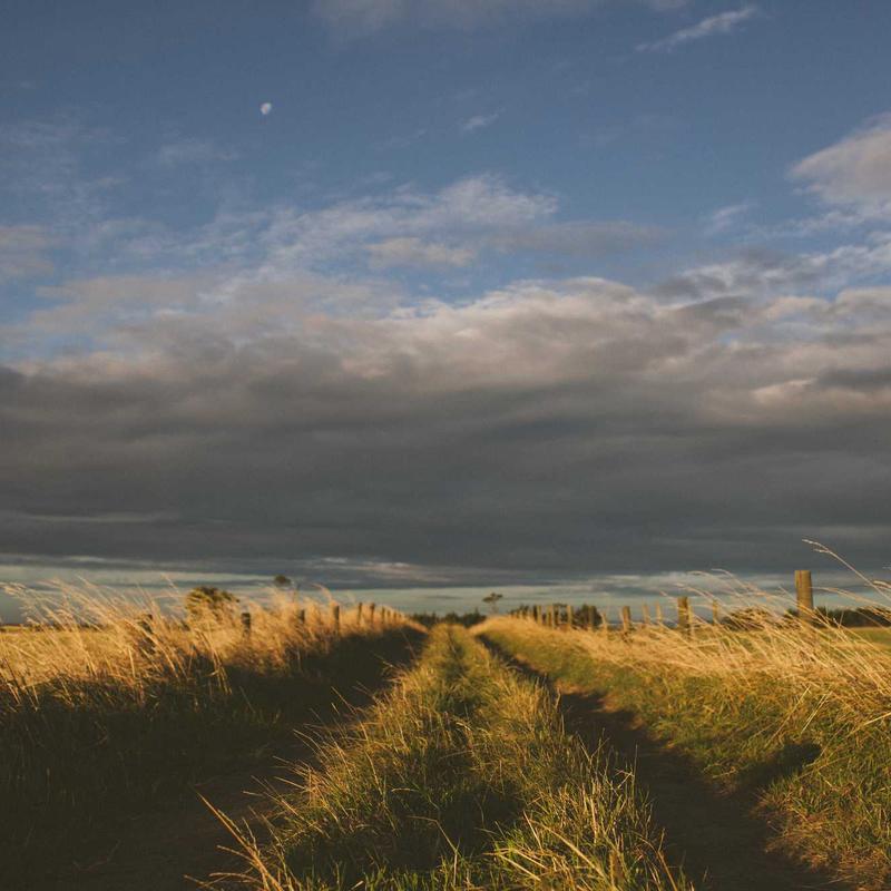 Product 36 - Image 1