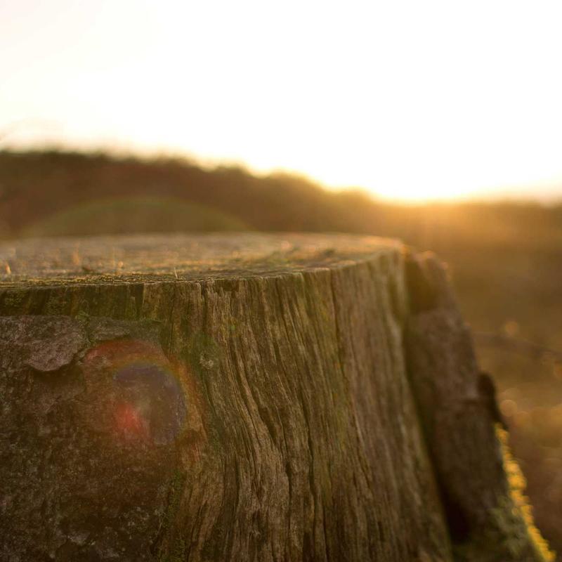 Product 36 - Image 3