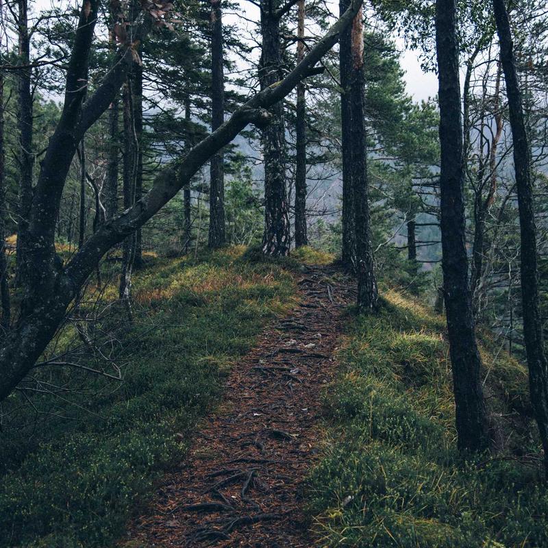 Product 38 - Image 2