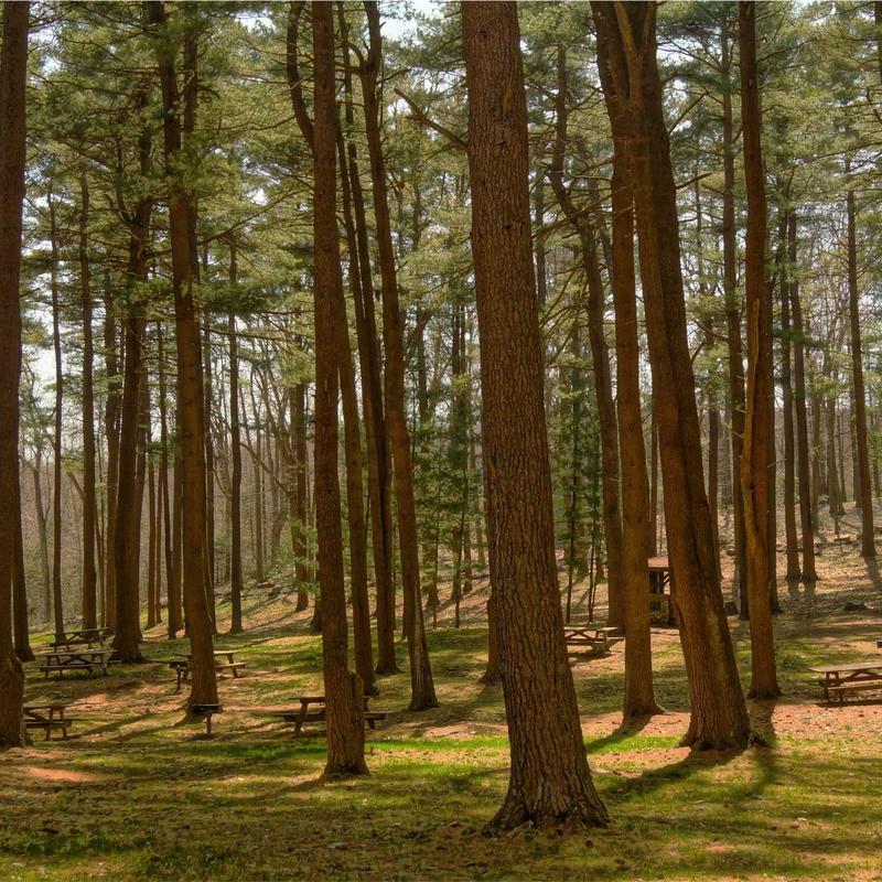 Product 38 - Image 5