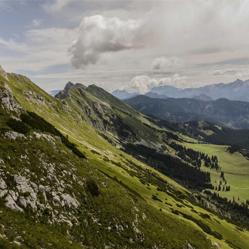 Product 41 - Image 1