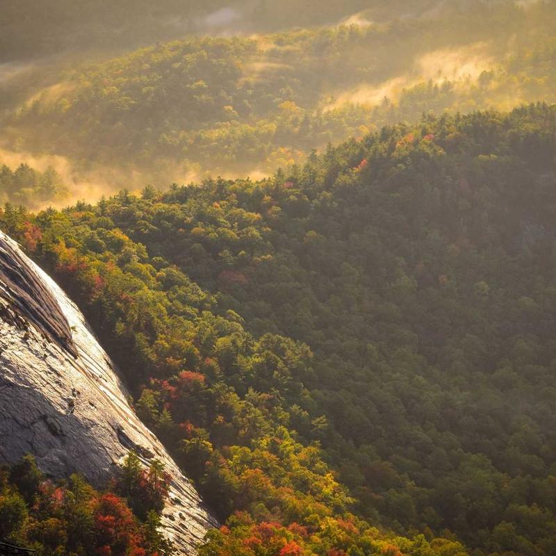 nostrum dolor similique