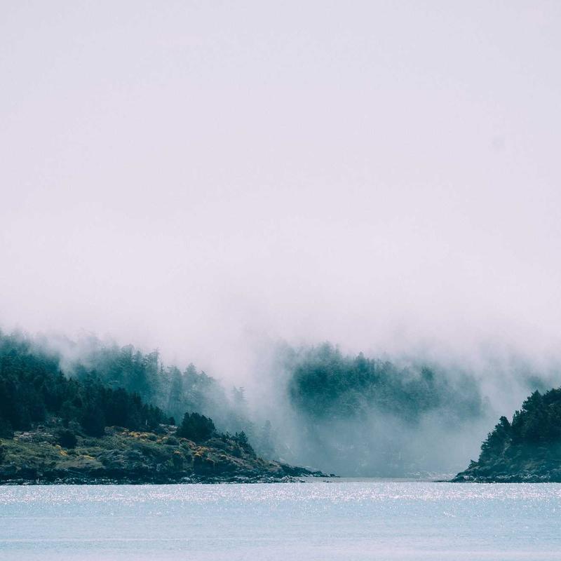 Product 43 - Image 4