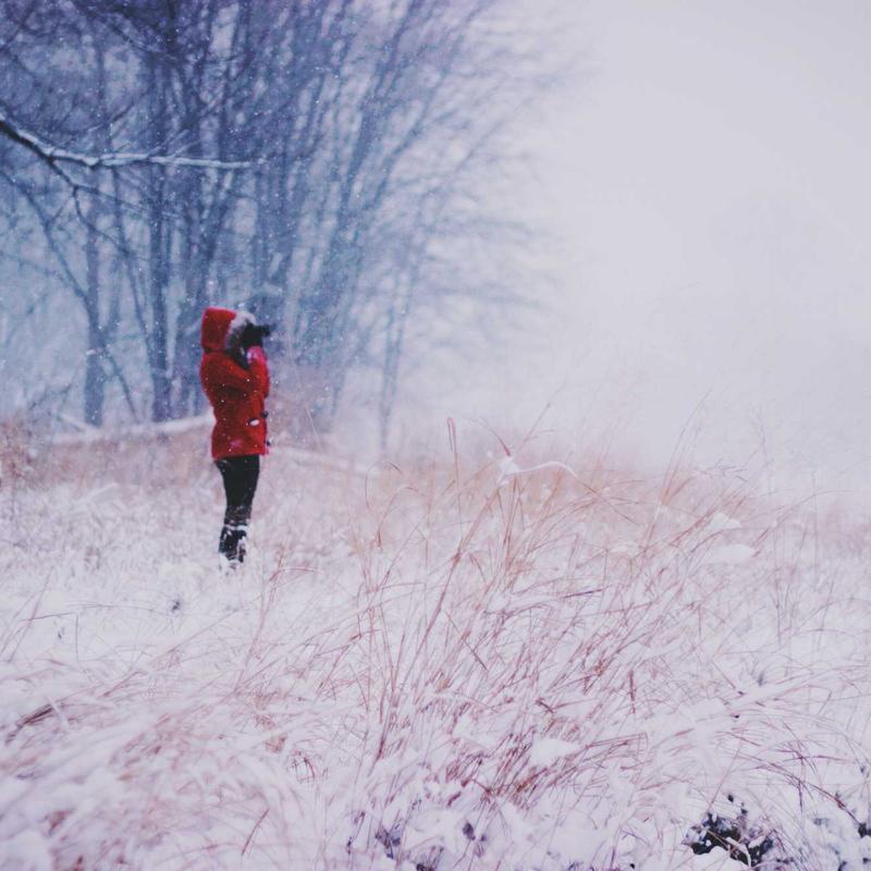 repudiandae ipsam numquam