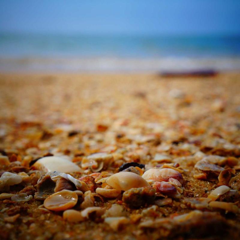 Product 47 - Image 2