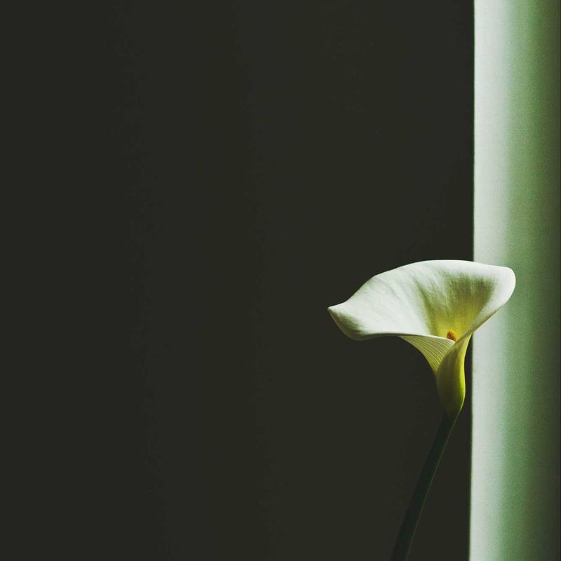 Product 47 - Image 3