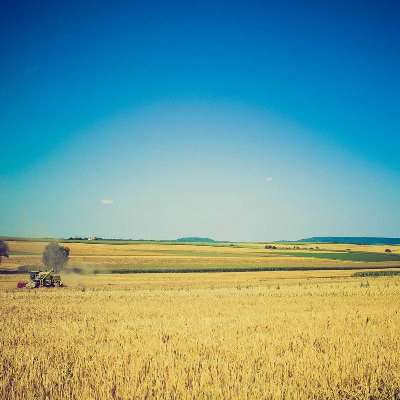 Product 48 - Image 5