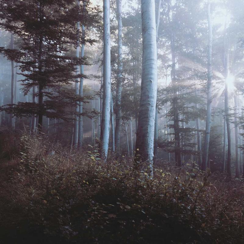 Product 49 - Image 1