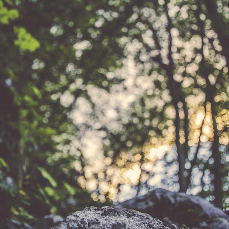 Product 50 - Image 1