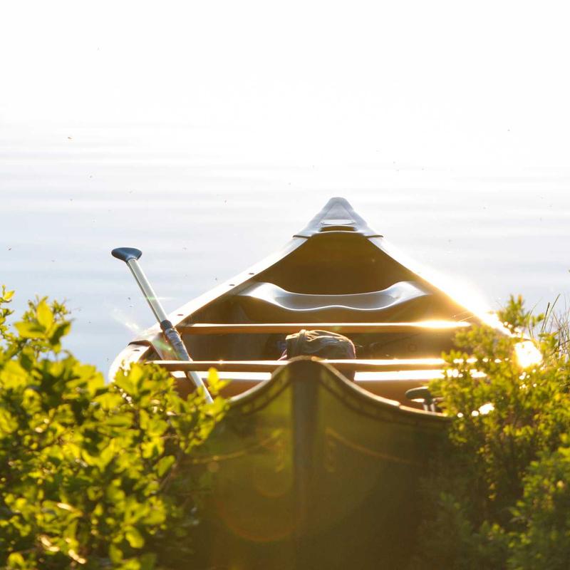 Product 54 - Image 1