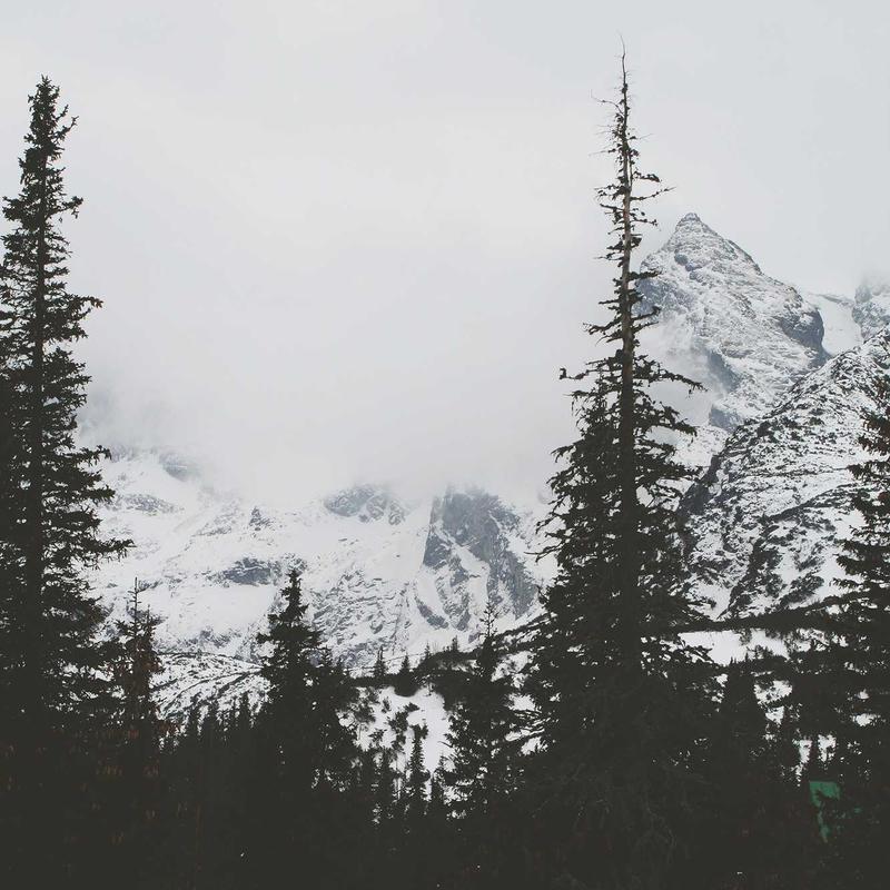 Product 57 - Image 2