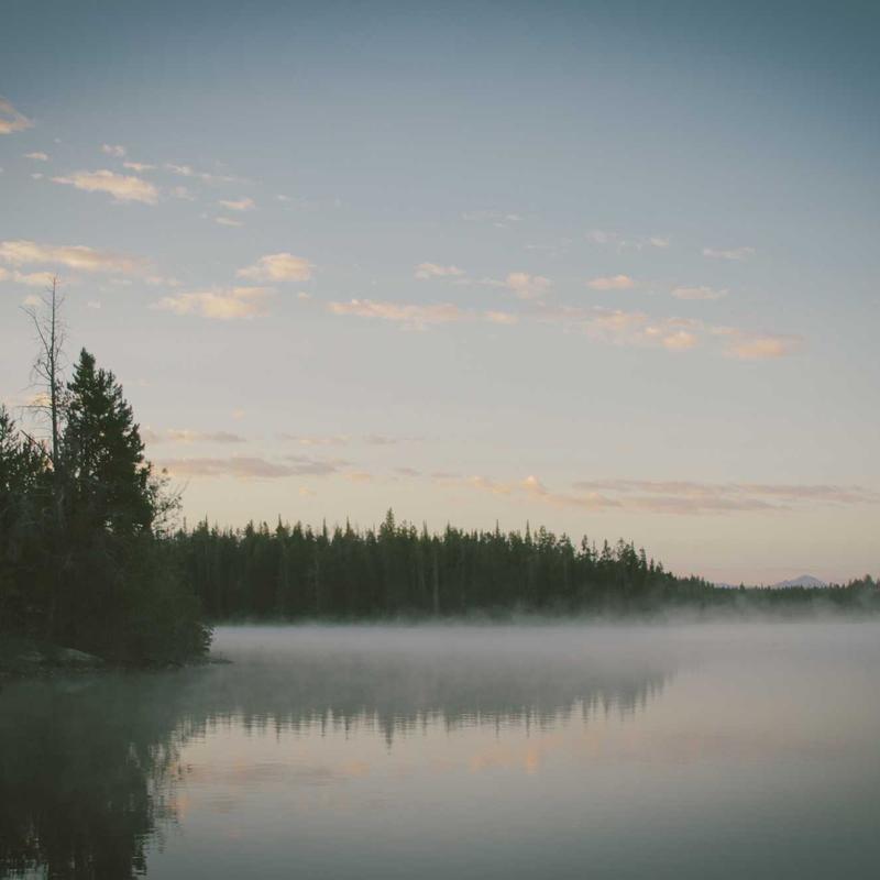 Product 59 - Image 3