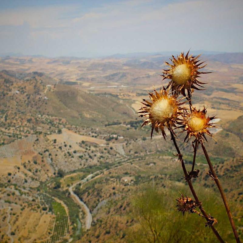 Product 60 - Image 2