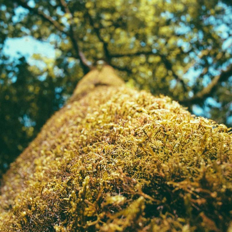 Product 65 - Image 2