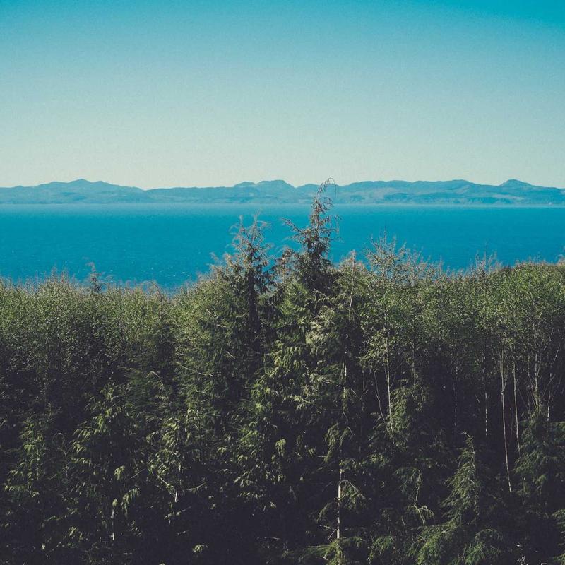 Product 65 - Image 4