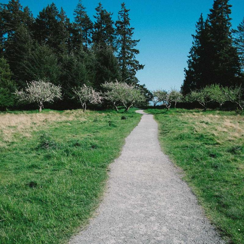 Product 72 - Image 2