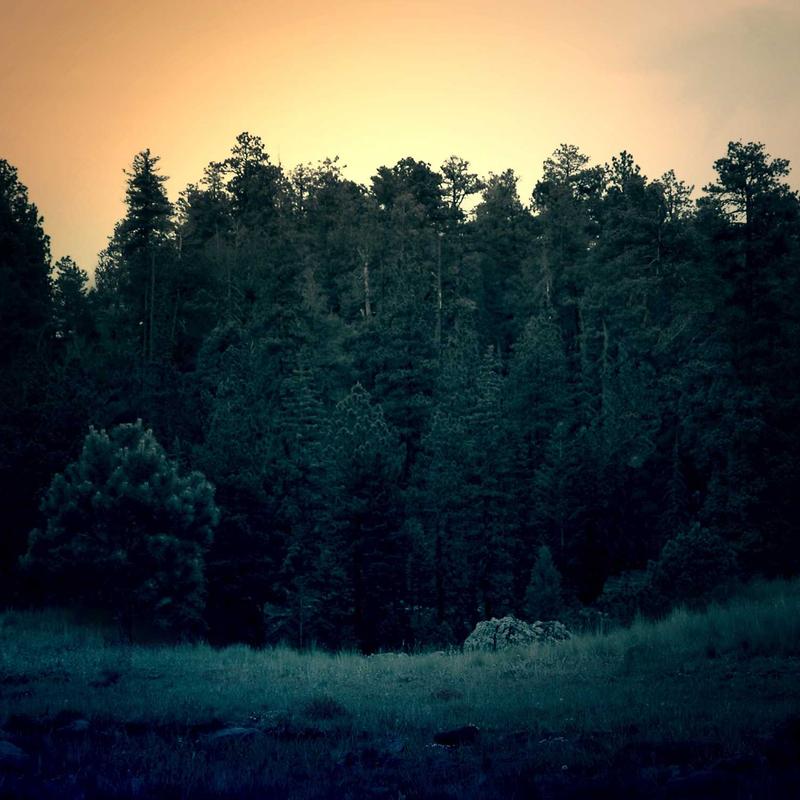 Product 75 - Image 2