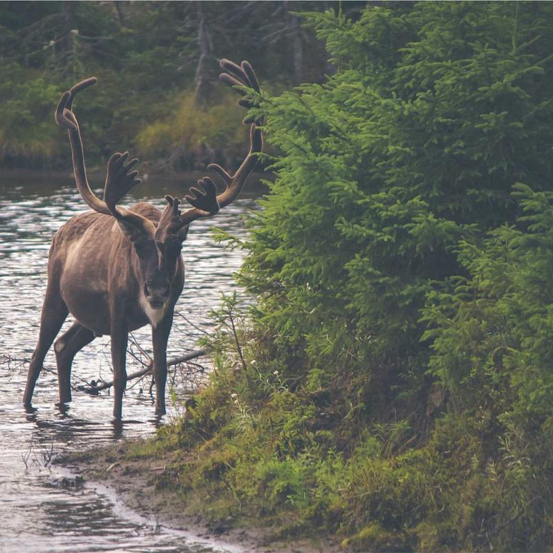 Product 78 - Image 2