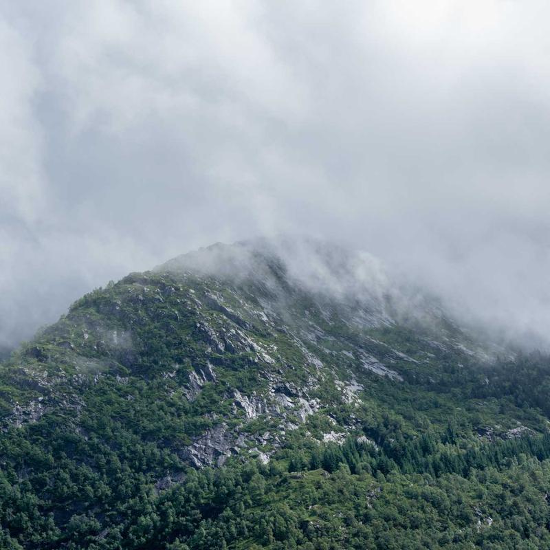 Product 81 - Image 2