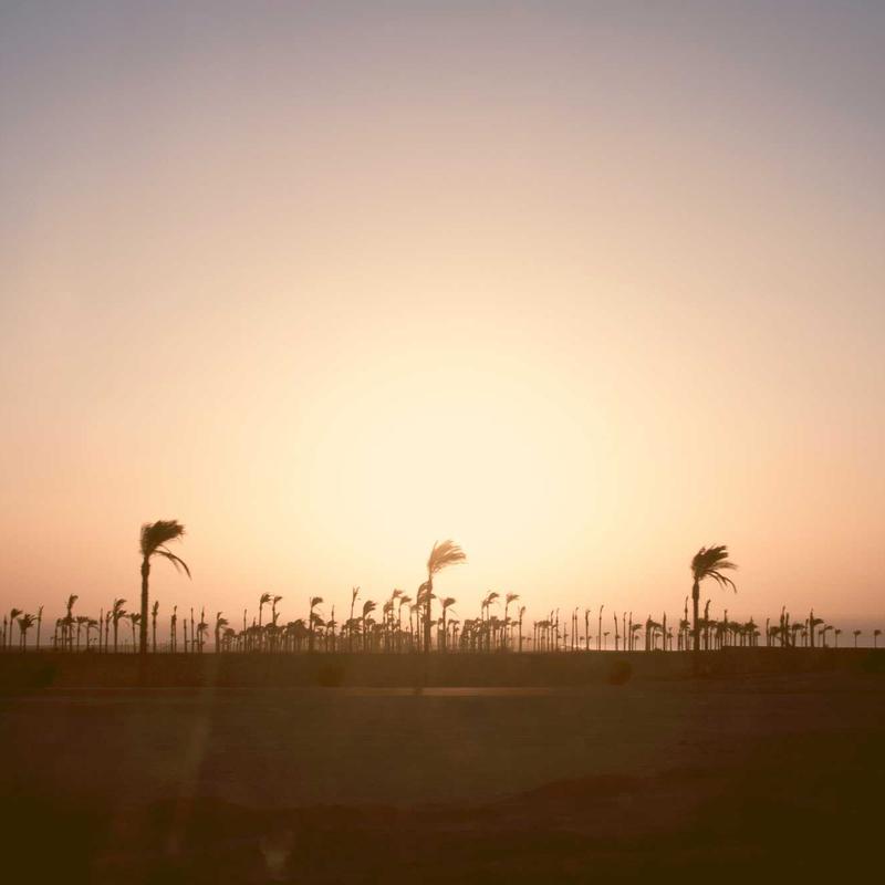 Product 81 - Image 3