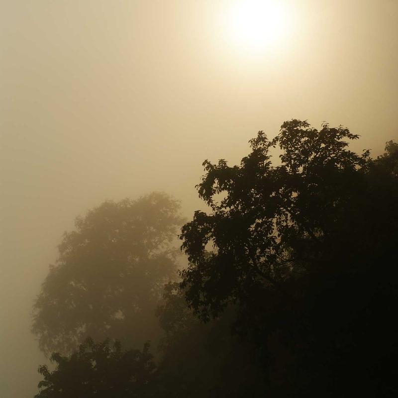 Product 84 - Image 4