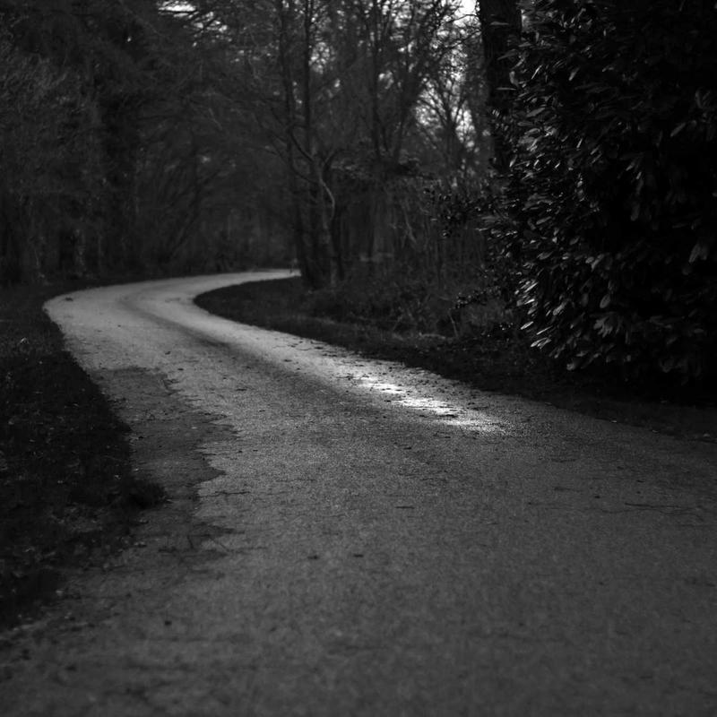 Product 85 - Image 3