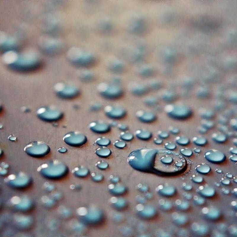 itaque quisquam illum