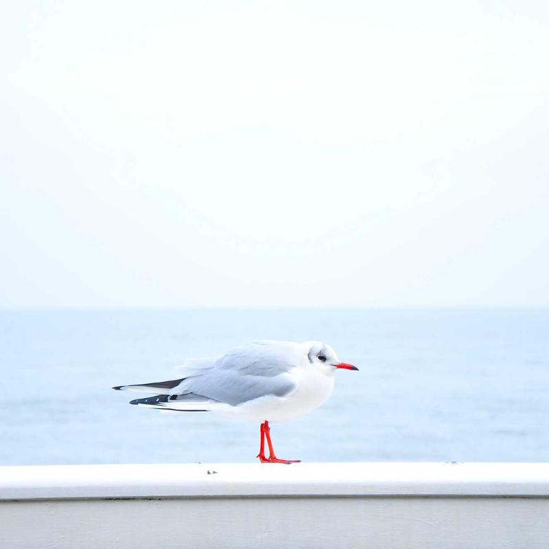 Product 86 - Image 2