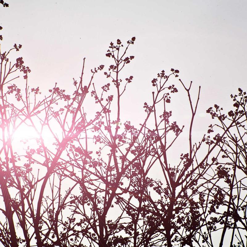 Product 86 - Image 3