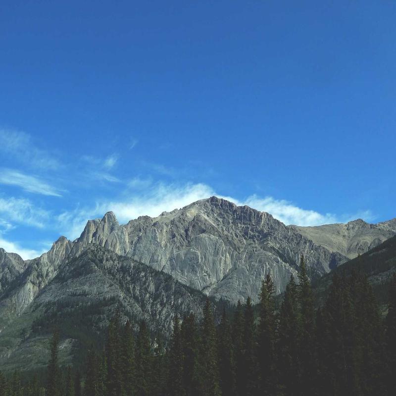 Product 93 - Image 2