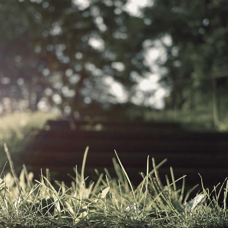 Product 96 - Image 2