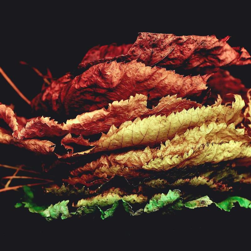 Product 98 - Image 3