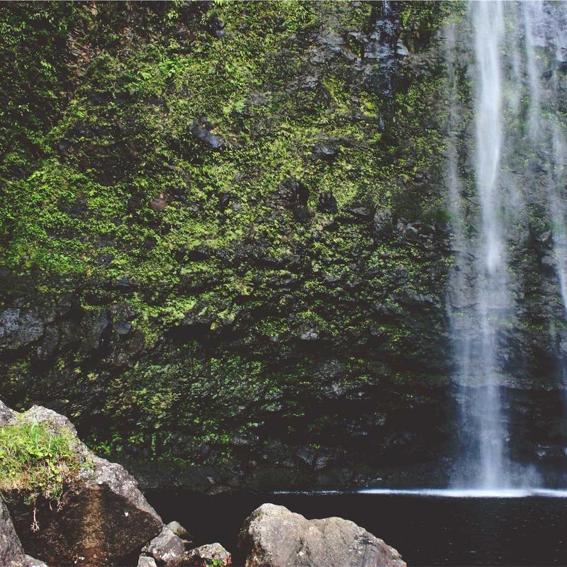 Product 99 - Image 2